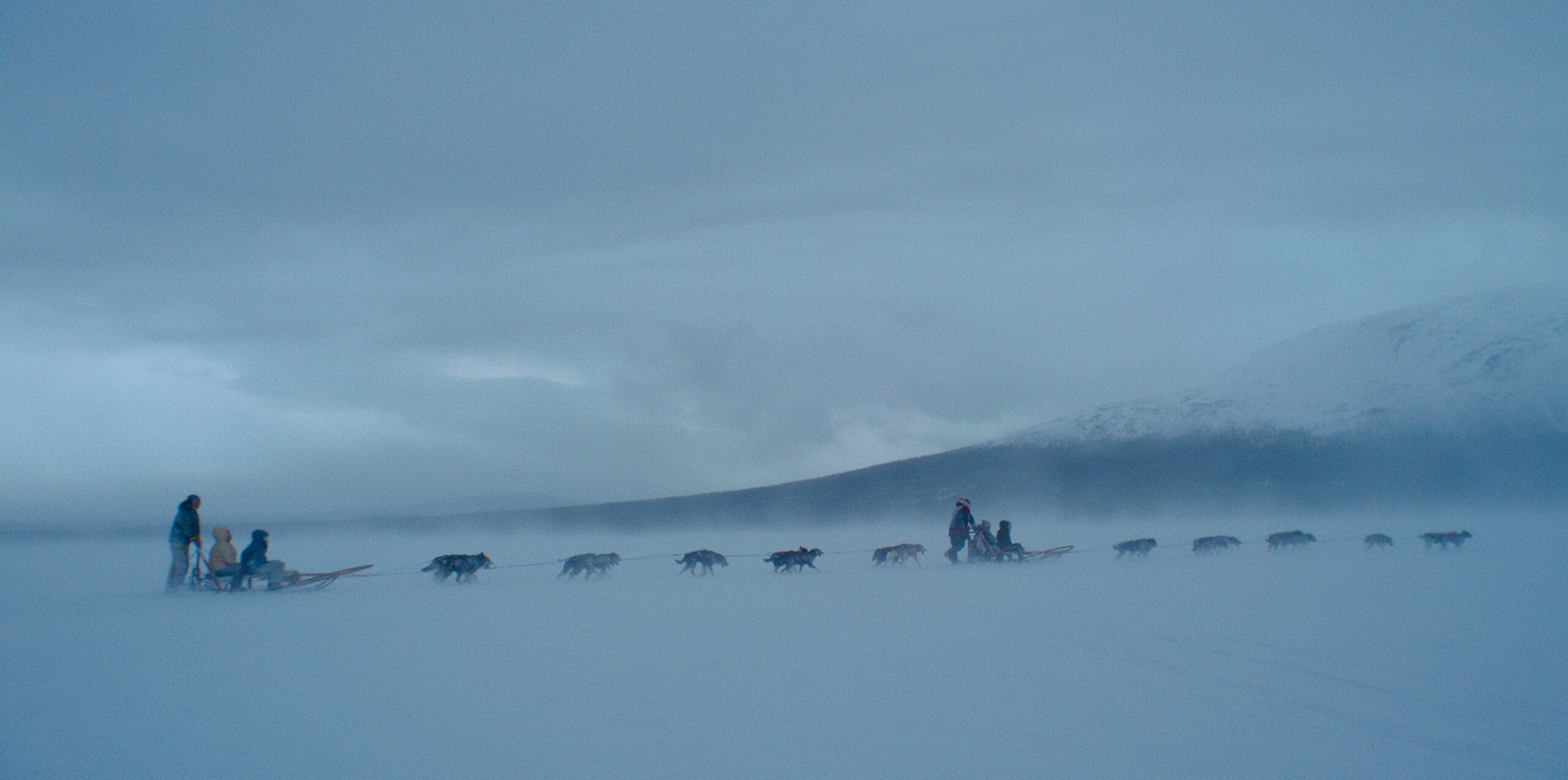 Dog sledding in the snow.